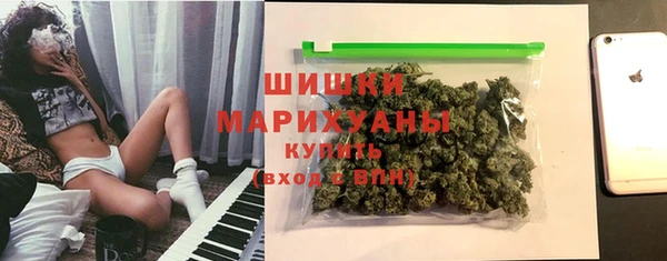 дмт Арсеньев