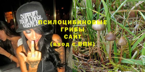 дмт Арсеньев