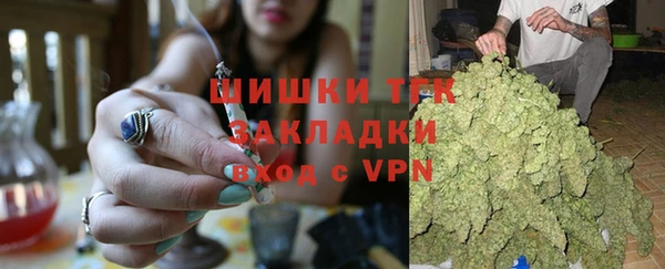 дмт Арсеньев