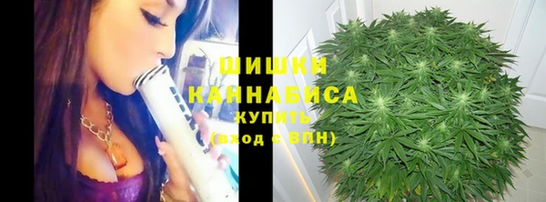 дмт Арсеньев
