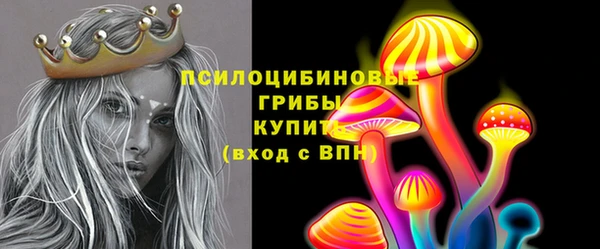дмт Арсеньев